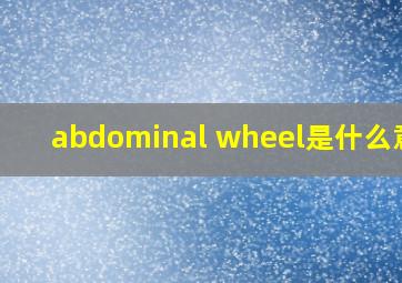 abdominal wheel是什么意思